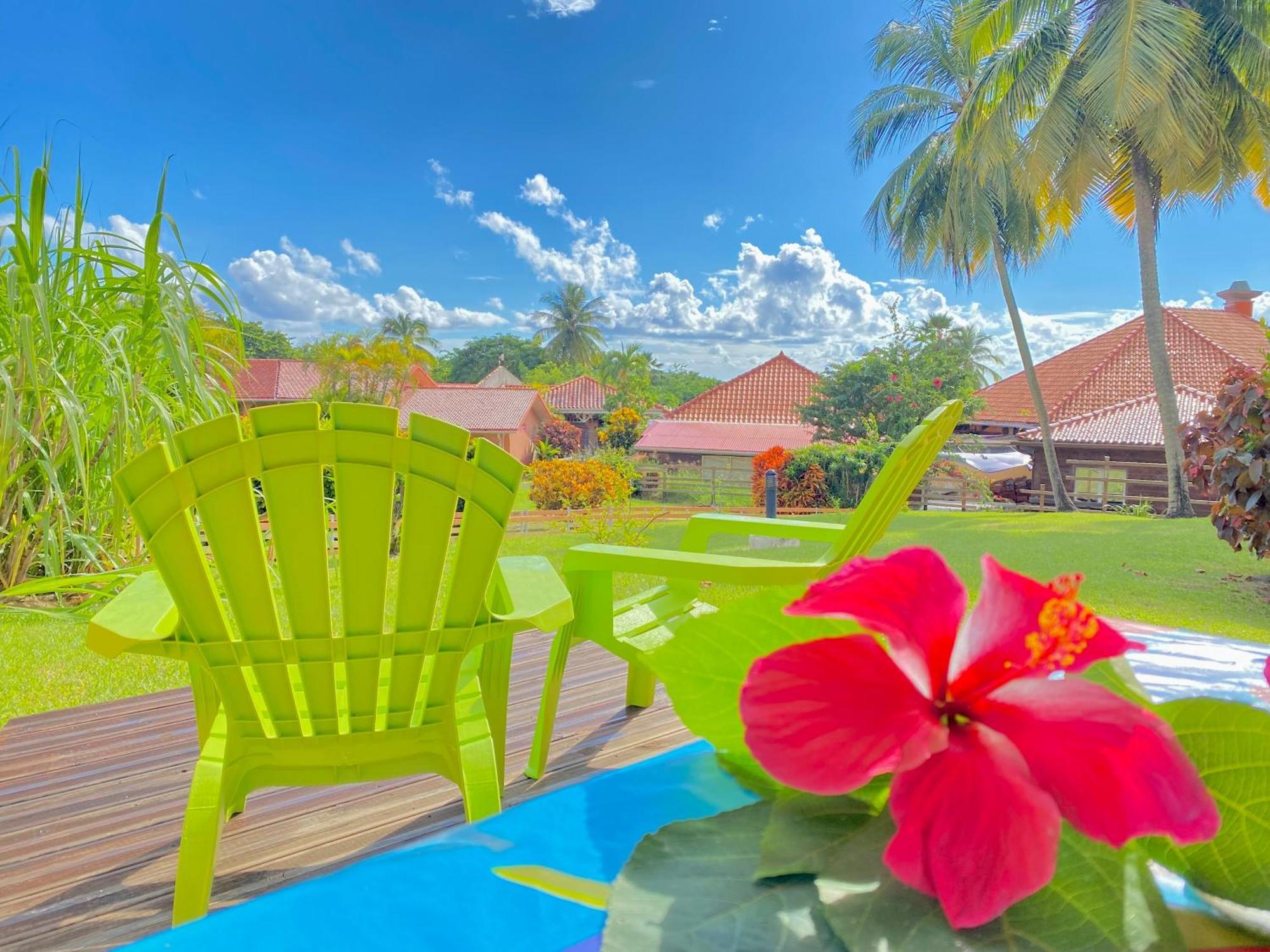 Studio Petite Plage - Pieds Dans L'Eau Sainte-Anne Exterior photo